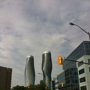 Meet your Posher, Joey